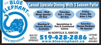 Blue Elephant Inc The